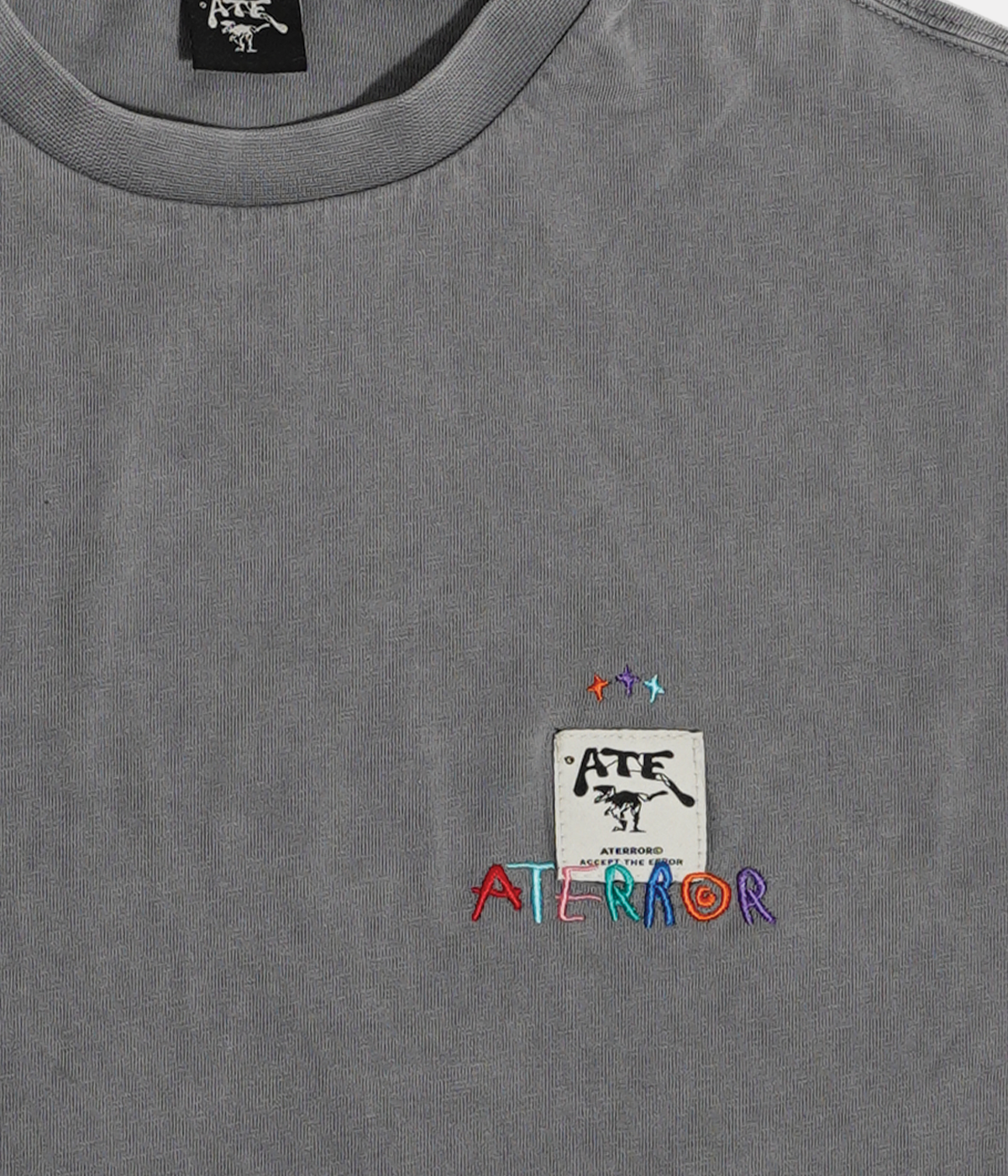 Gray Acid Wash T-Shirt ATE "Aterror Color Patch"