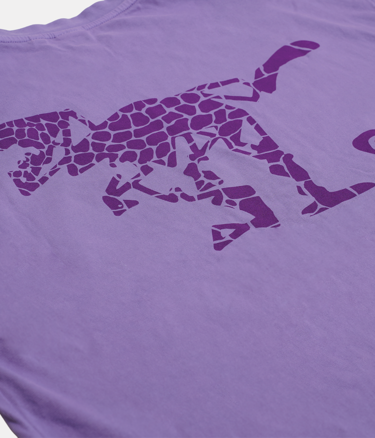 Purple T-Shirt ATE "Aterror Dino"
